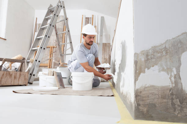 Best Eco-Friendly and Low-VOC Painting  in Laurens, IA